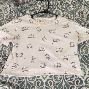 White cat top